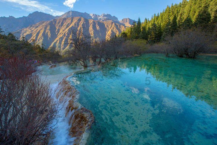 笑脸球的冒险之旅