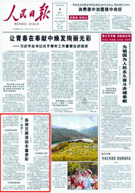 央美毕业生的群居生活,把400万网友羡慕哭了