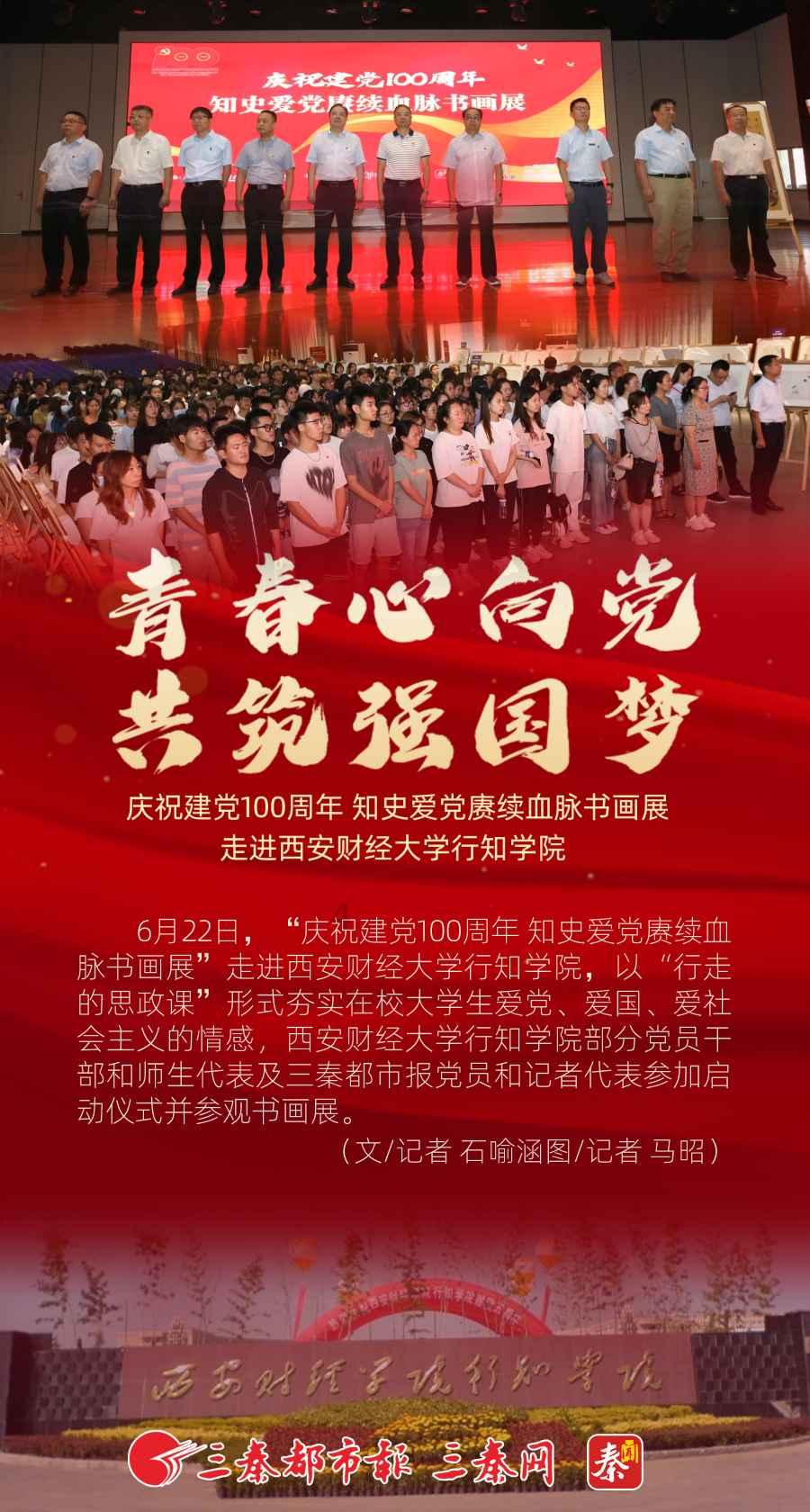 救援呆萌的猫